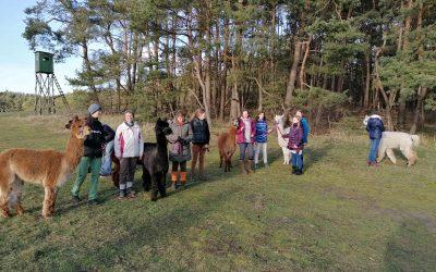 Wir legen los… Spaziergang im Wald