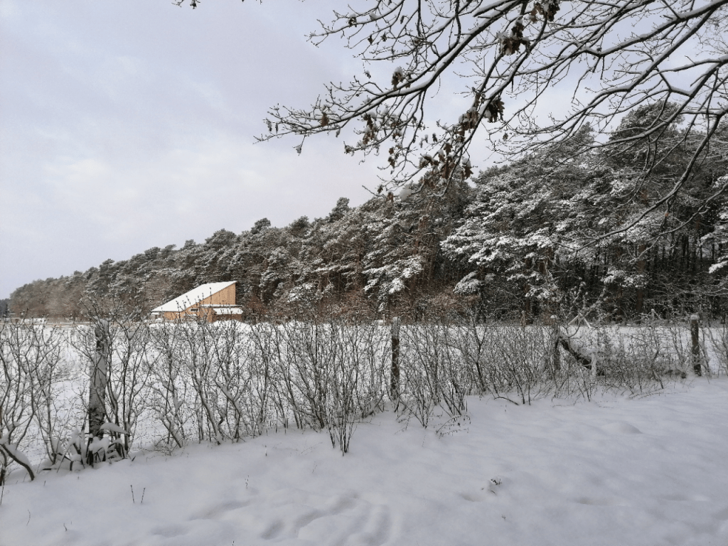 Winter im Lebensgarten