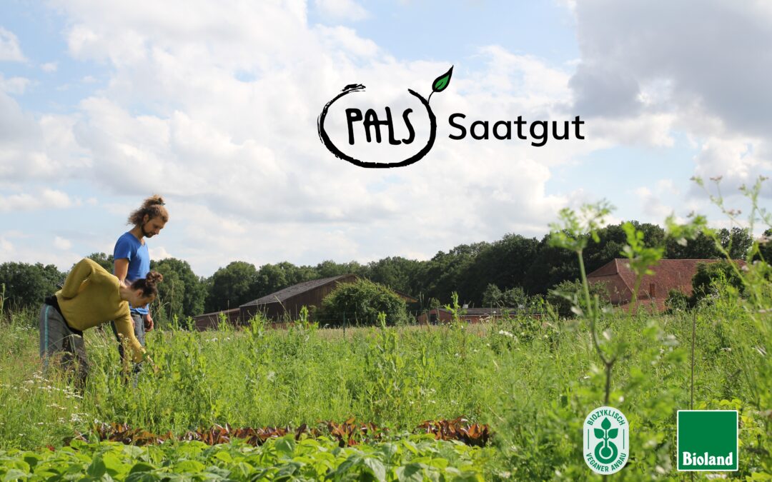Saatgut Permakulturpark am Lebensgarten Steyerberg (PaLS)